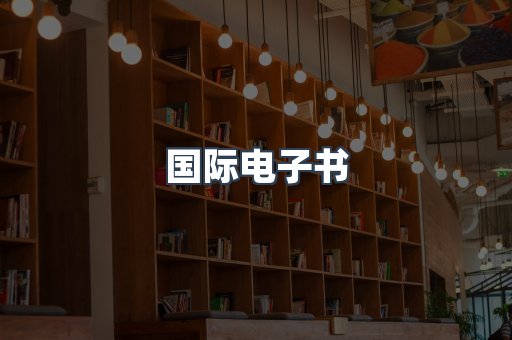 国际电子书