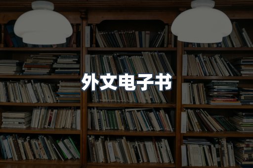 外文电子书